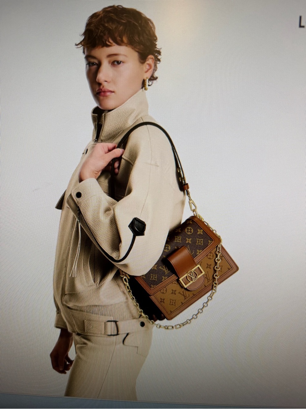 Louis Vuitton Brown Monogram Canvas Shoulder Bag with Gold Chain